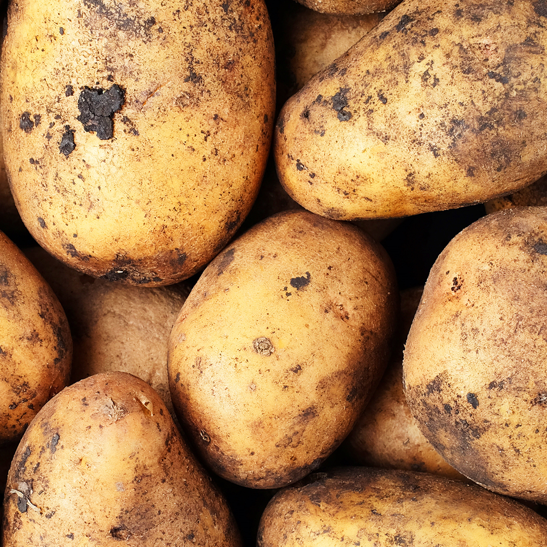 patata
